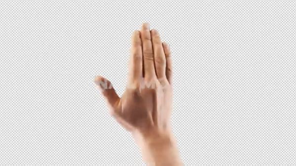 Free hand gesture 1 Click + palm by Snail motion