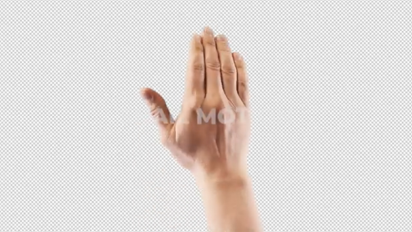 Free hand gesture 2 Click + palm by snail motion