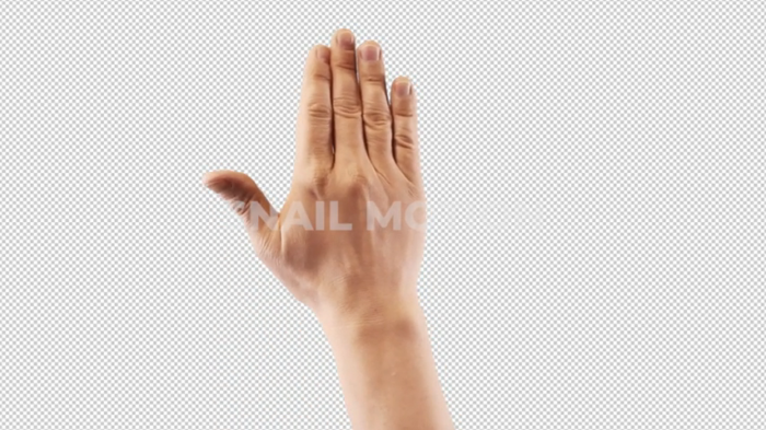 Free hand gesture Put hand up by snail motion