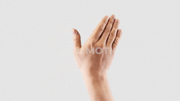 Free hand gesture Slide to Right Palm by snail motion
