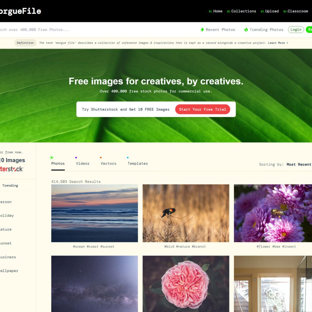free stock images by Morguefile