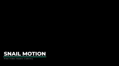 Free Line Bar Third Graphics After Effects by snail motion