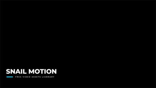 Free Small Line Lower Third Graphics After Effects Template by snail motion